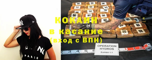 дурь Пестово