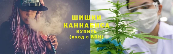 дурь Пестово