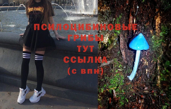 гидропоника Переславль-Залесский