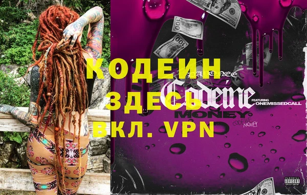 дурь Пестово