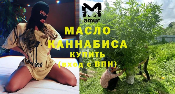 индика Заволжье